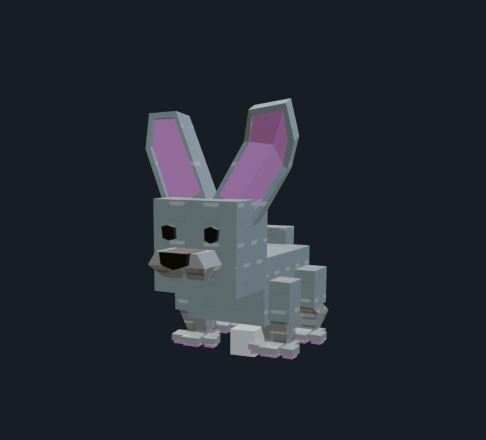 Bunny Animal Rig